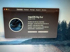 Computer Apple Mac 11.7.10 picture