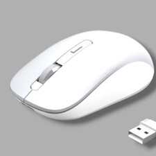 JoyAccess 2.4G Wireless Bluetooth Mouse Dual M10 White/Gray picture