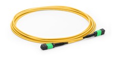 50m MPO Female to MPO Female 12 Fibers OS2 9/125 Single Mode Trunk Cable - 9988 picture