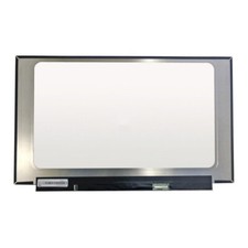 LCD Screen 15.6