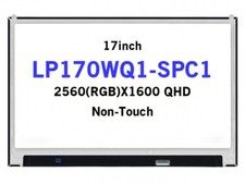 Brand New 17in LCD Screen LP170WQ1-SPC1 WQXGA 2560X1600 QHD IPS 40Pins LCD Panel picture