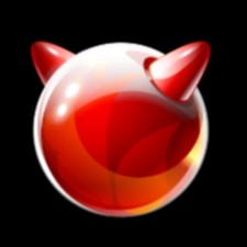 FreeBSD V15.0, 64-bit, Unix-like OS, Bootable Live and Install USB Flash Drive picture