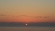 Landscape nature sunset birds horizon minimalism clouds Custom Gaming Mat Desk picture