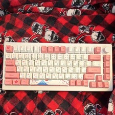 Akko MOD007B Mechanical Keyboard White Pink QWERTY Japanese English picture
