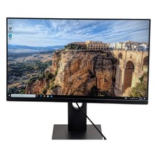 Dell P2319H 23