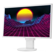 NEC MultiSync EA223WM 22