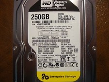 Western Digital WD2503ABYX-01WERA2 DCM:HGRNKTJCG 250gb 3.5