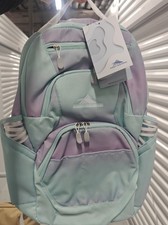 High Sierra Swoop Backpack with Laptop Pocket + Tablet Sleeve, Fits most 17̶ picture