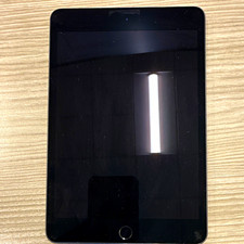 Apple iPad Series Apple iPad Tablet - Gray picture