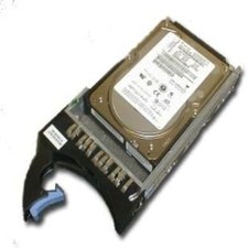 IBM 42D0651 Internal Hard Drives picture