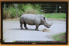 Dell P22217 22