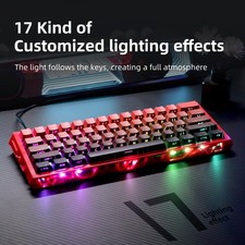 NJ61 Hollow Single-Mode Mechanical Keyboard picture