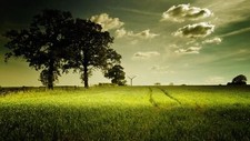 Landscape clouds field grass trees Custom Gaming Mat Desk picture