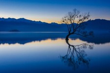 Landscape nature calm trees reflection birds sunset Custom Gaming Mat Desk picture