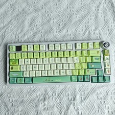 Cactus Keycap Set PBT XDA Custom Keycaps for MX Mechanical Keyboard 132 Keys picture