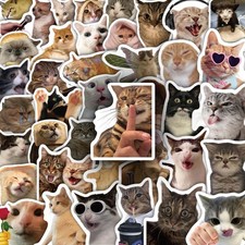 100 Pcs Cat Stickers, Funny Cat Meme, Cute Vinyl Kitty Sticker Pack picture