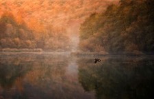 Landscape nature mountains forest lake birds flying Custom Gaming Mat Desk picture