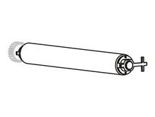 Zebra Writing Roller for GK Series GK420d Plates Std (d) for P1027135-039 picture
