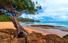 Landscape nature kauai hawaii island beach sea clouds Custom Gaming Mat Desk picture