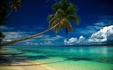 Landscape nature beach tropical palm trees clouds sea Custom Gaming Mat Desk picture