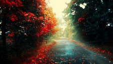 Landscape fall leaves road outdoors fallen plants Custom Gaming Mat Desk picture