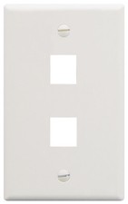 ICC Faceplate Flat 1-gang 2-port White TDICC-IC107F02WH Garden Improvement picture