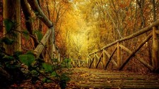 Landscape fall r wooden surface path forest fallen Custom Gaming Mat Desk picture