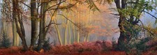 Landscape mist forest fall trees sun rays morning shrubs Custom Gaming Mat Desk picture