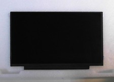 11.6