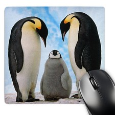 3dRose, Emperor Penguin Family, Mouse Pad picture