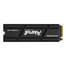 Kingston Technology FURY Renegade picture
