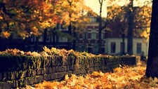 Landscape fall leaves fallen city Custom Gaming Mat Desk picture