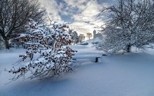 Landscape winter snow nature Custom Gaming Mat Desk picture