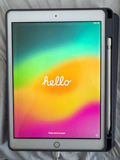 Apple iPad 132GB + Apple Pencil + Blue Case – Good Condition picture