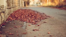 Landscape depth of field leaves street fall beige Custom Gaming Mat Desk picture