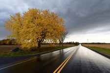Landscape road asphalt fall trees wet street Custom Gaming Mat Desk picture