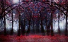 Landscape trees fall symmetry forest plants Custom Gaming Mat Desk picture