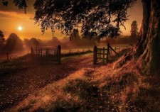 Landscape fall trees grass fence gates road sun rays Custom Gaming Mat Desk picture