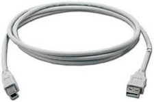 QVS 6-foot USB 2.0 Connecting Cable - Type A Male to B Male - Beige (CC2209-06) picture