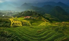 Landscape vietnam terraced field high angle asia Custom Gaming Mat Desk picture