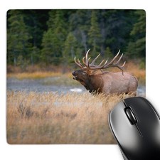 3dRose Canada Alberta Rocky Mountain Elk Jasper NP Fall Bugling 8x8 Mouse Pad picture
