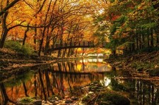 Landscape nature water trees forest river bridge fall Custom Gaming Mat Desk picture