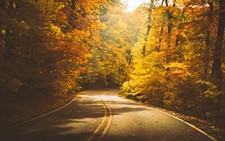 Landscape nature forest trees road fall orange Custom Gaming Mat Desk picture