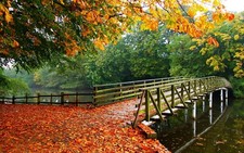 Landscape nature leaves fall trees bridge walkway river Custom Gaming Mat Desk picture