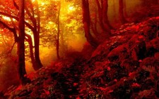 Landscape nature fall forest Custom Gaming Mat Desk picture
