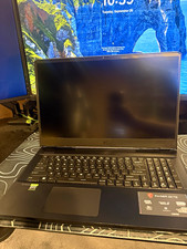 MSI Raider GE76 17.3