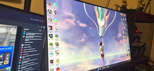 Sceptre 165 hz monitor 24” picture