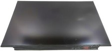 LCD Screen 17.3