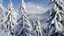 Landscape nature winter snow frost pine trees snowy peak Custom Gaming Mat Desk picture