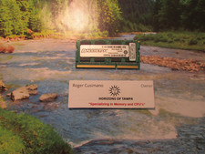 Ballistix Sport 4GB DDR3 Laptop Memory 1600 BLS4G3N169ES4.16FED2 RAM - SINGLE picture